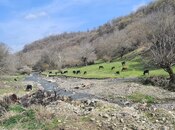 Satılır  torpaq 4.5 sot, photo 4 from 4