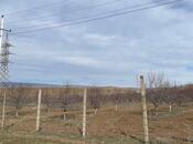 Satılır  torpaq 600 sot, photo 7 from 8