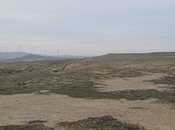 Elan №5924980 - Bakı, Pirəkəşkül q., 500 sot