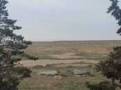 Satılır  torpaq 500 sot, Pirəkəşkül q., photo 7 from 7