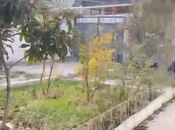 Объявление №5925206 - Баку, м. Азадлыг проспекти, 5 сот