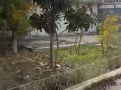 Объявление №5925249 - Баку, м. Гянджлик, 5 сот