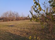 Продаётся  участок 25 сот, photo 4 from 8