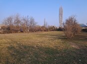 Elan №5925664 - Göyçay, Göyçay, 25 sot