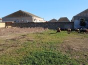 Satılır  torpaq 12 sot, Digah q., photo 6 from 8