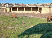 Satılır  torpaq 12 sot, Digah q., photo 7 from 8