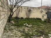 Продаётся  участок 4 сот, пос. Бина, photo 8 from 8