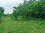 Satılır  torpaq 150 sot, photo 7 from 8