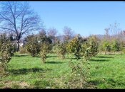 Продаётся  участок 9 сот, photo 2 from 2