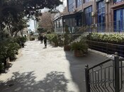 Сдаётся  объект 65 м², м. Шах Исмаил Хатаи, photo 2 from 8