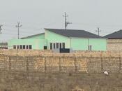 Elan №5927113 - Bakı, Saray q., 430 sot