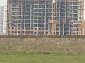 Satılır  torpaq 430 sot, Saray q., photo 4 from 5