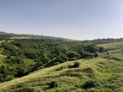 Satılır  torpaq 1 100 sot, photo 3 from 8