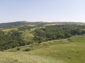 Satılır  torpaq 1 100 sot, photo 4 from 8