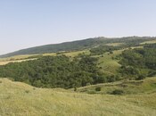 Satılır  torpaq 1 100 sot, photo 5 from 8