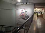 İcarəyə verilir  obyekt 250 m², Nizami m., photo 6 from 8