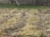 Satılır  torpaq 1.8 sot, Görədil q., photo 4 from 5