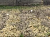 Satılır  torpaq 1.8 sot, Görədil q., photo 3 from 5