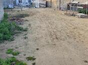 Elan №5927571 - Bakı, Mərdəkan q., 4 otaqlı, 120.1 m²