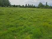 Объявление №5927801 - Габала, Габала, 71 сот