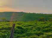 Satılır  torpaq 14 sot, photo 3 from 3