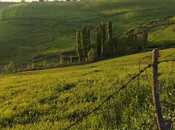 Satılır  torpaq 14 sot, photo 2 from 3