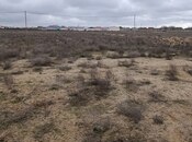 Продаётся  участок 100 сот, пос. Гала, photo 8 from 8