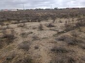 Продаётся  участок 100 сот, пос. Гала, photo 6 from 8