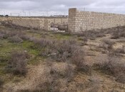 Продаётся  участок 100 сот, пос. Гала, photo 4 from 8