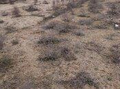 Продаётся  участок 100 сот, пос. Гала, photo 5 from 8