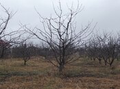 Satılır  torpaq 45 sot, photo 2 from 8