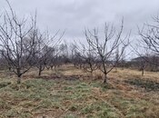 Satılır  torpaq 45 sot, photo 8 from 8