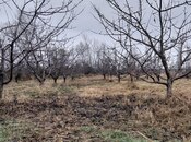 Satılır  torpaq 45 sot, photo 3 from 8