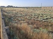 Satılır  torpaq 10 sot, Türkan q., photo 4 from 4