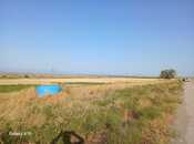 Elan №5928339 - Şabran, Şabran, 138 sot