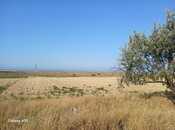 Satılır  torpaq 138 sot, photo 3 from 6