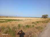 Satılır  torpaq 138 sot, photo 6 from 6