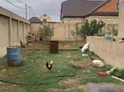 Satılır 4 otaqlı həyət evi/bağ evi 110 m², Xaçmaz r., photo 3 from 8