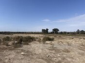 Продаётся  участок 17 сот, пос. Бина, photo 2 from 2