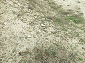 Продаётся  участок 12 сот, пос. Кюрдаханы, photo 8 from 8