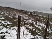 Elan №5929806 - İsmayıllı, İsmayıllı, 24 sot