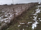 Satılır  torpaq 24 sot, photo 2 from 5