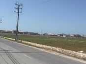 Продаётся  участок 840 сот, пос. Бина, photo 6 from 8