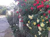 Satılır 5 otaqlı həyət evi/bağ evi 165 m², photo 4 from 8