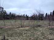 Satılır  torpaq 33.1 sot, Nardaran q., photo 7 from 8