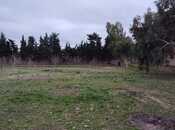 Elan №5929904 - Bakı, Nardaran q., 33.1 sot