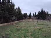 Satılır  torpaq 33.1 sot, Nardaran q., photo 4 from 8