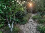 Satılır  torpaq 5.2 sot, Albalılıq q., photo 2 from 7