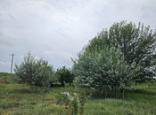 Satılır  torpaq 3 000 sot, photo 4 from 8