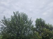 Satılır  torpaq 3 000 sot, photo 3 from 8